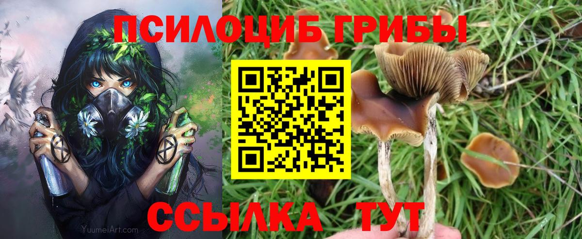 Аша  Галлюциногенные грибы мухоморы  Вход с VPN 